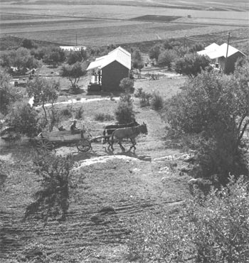 כפר הנוער הדתי 1938